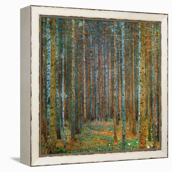 Tannenwald (Pine Forest), c.1902-Gustav Klimt-Framed Stretched Canvas