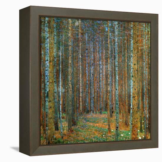 Tannenwald (Pine Forest), c.1902-Gustav Klimt-Framed Stretched Canvas