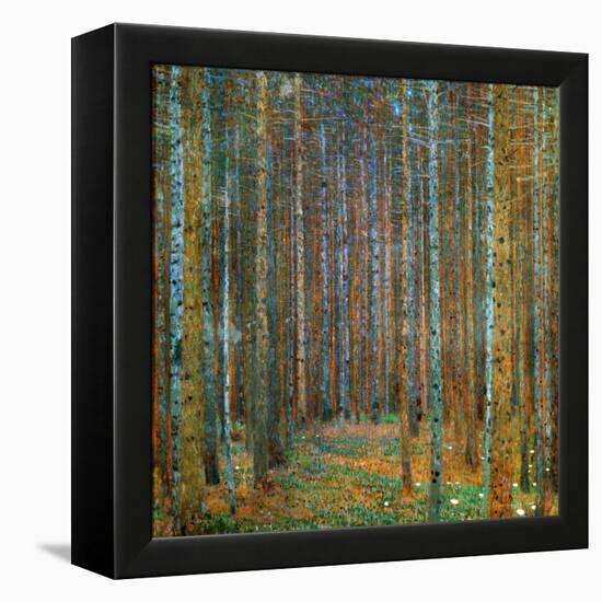 Tannenwald (Pine Forest), c.1902-Gustav Klimt-Framed Stretched Canvas