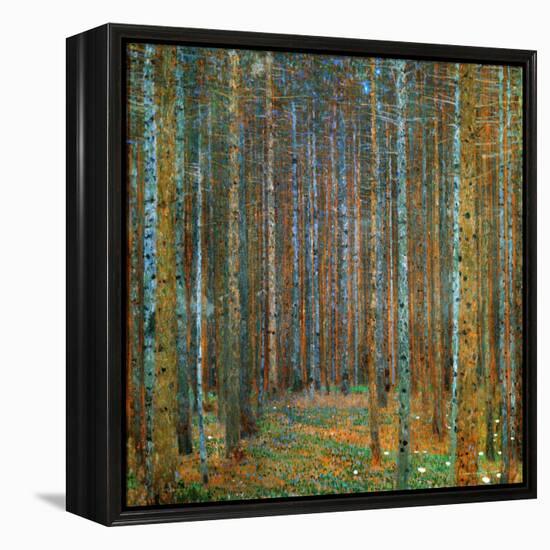 Tannenwald (Pine Forest), c.1902-Gustav Klimt-Framed Stretched Canvas