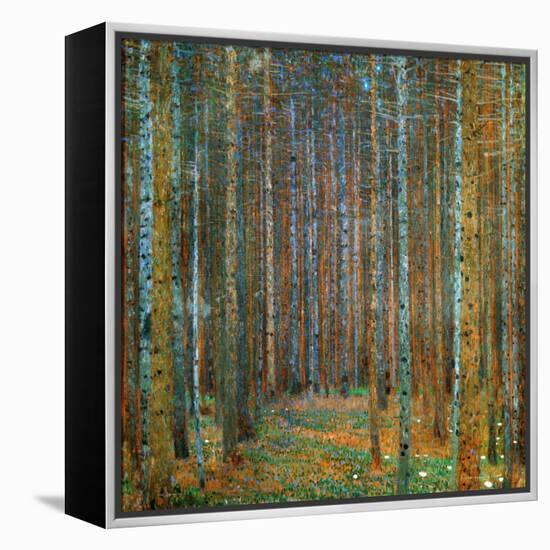 Tannenwald (Pine Forest), c.1902-Gustav Klimt-Framed Stretched Canvas