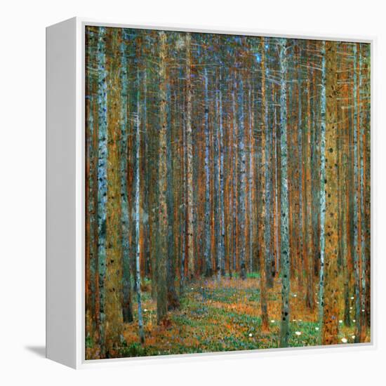 Tannenwald (Pine Forest), c.1902-Gustav Klimt-Framed Stretched Canvas