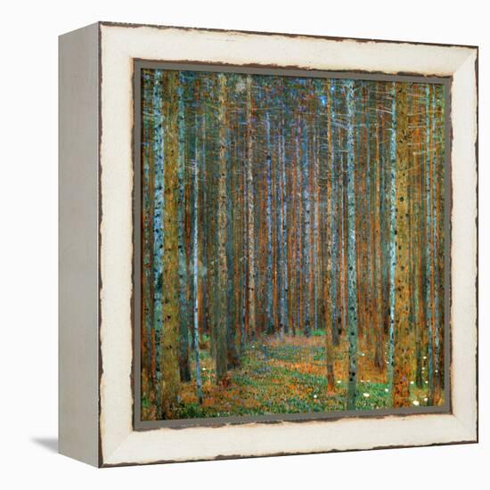 Tannenwald (Pine Forest), c.1902-Gustav Klimt-Framed Stretched Canvas