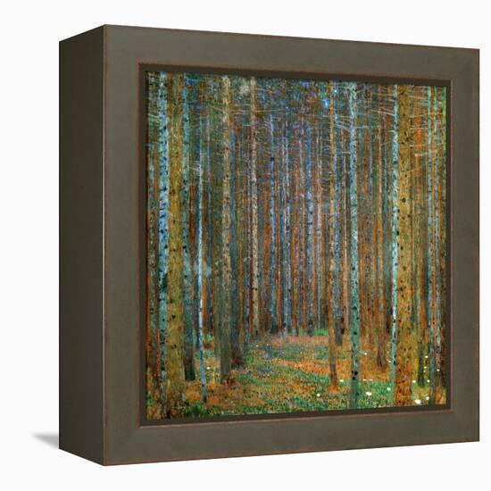 Tannenwald (Pine Forest), c.1902-Gustav Klimt-Framed Stretched Canvas