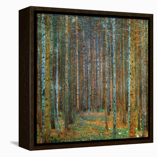 Tannenwald (Pine Forest), c.1902-Gustav Klimt-Framed Stretched Canvas