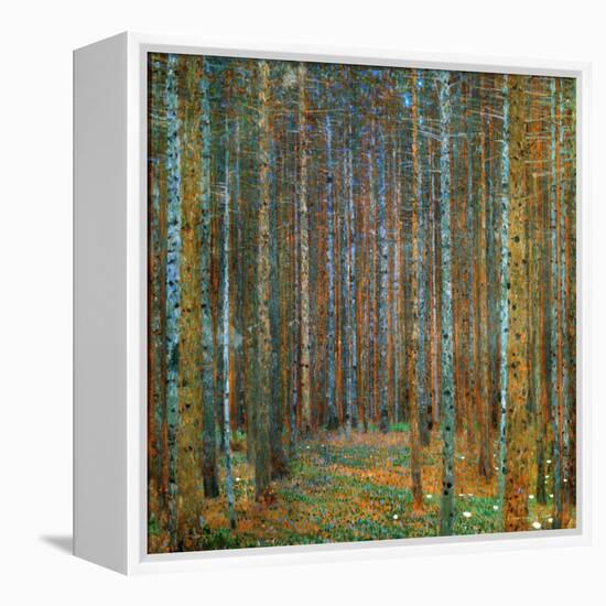 Tannenwald (Pine Forest), c.1902-Gustav Klimt-Framed Stretched Canvas