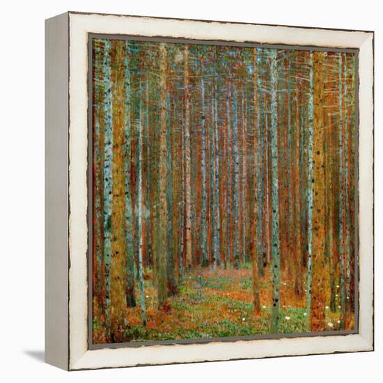 Tannenwald (Pine Forest), c.1902-Gustav Klimt-Framed Stretched Canvas