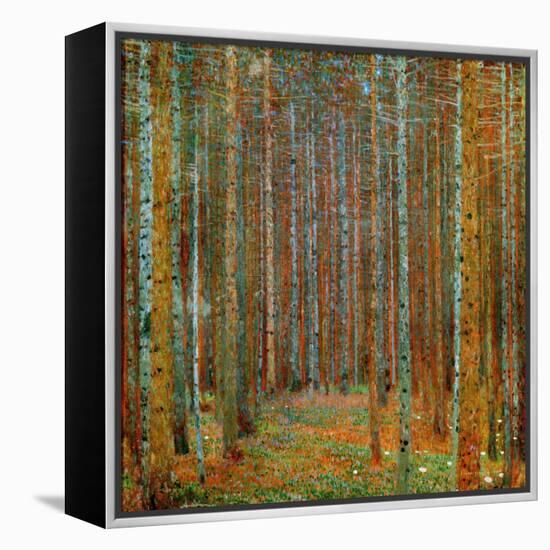 Tannenwald (Pine Forest), c.1902-Gustav Klimt-Framed Stretched Canvas