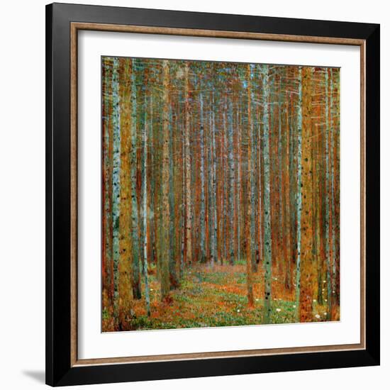 Tannenwald (Pine Forest), c.1902-Gustav Klimt-Framed Art Print