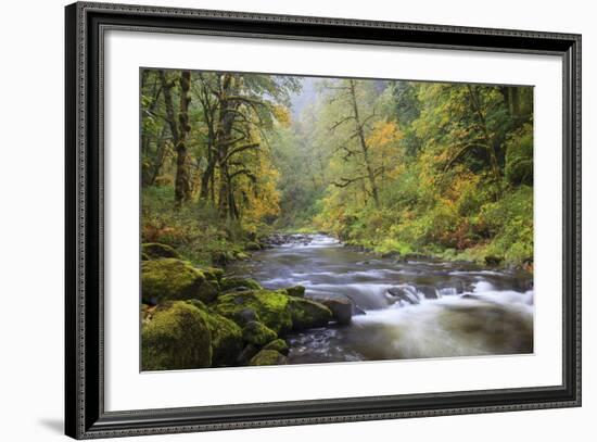 Tanner Creek, Columbia River Gorge, Oregon, USA-Jamie & Judy Wild-Framed Photographic Print