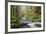 Tanner Creek, Columbia River Gorge, Oregon, USA-Jamie & Judy Wild-Framed Photographic Print