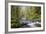 Tanner Creek, Columbia River Gorge, Oregon, USA-Jamie & Judy Wild-Framed Photographic Print