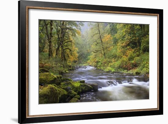 Tanner Creek, Columbia River Gorge, Oregon, USA-Jamie & Judy Wild-Framed Photographic Print