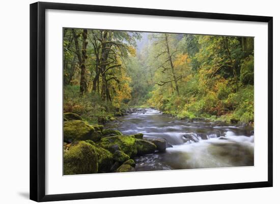 Tanner Creek, Columbia River Gorge, Oregon, USA-Jamie & Judy Wild-Framed Photographic Print