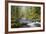 Tanner Creek, Columbia River Gorge, Oregon, USA-Jamie & Judy Wild-Framed Photographic Print