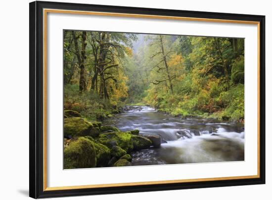 Tanner Creek, Columbia River Gorge, Oregon, USA-Jamie & Judy Wild-Framed Photographic Print