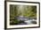 Tanner Creek, Columbia River Gorge, Oregon, USA-Jamie & Judy Wild-Framed Photographic Print