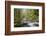 Tanner Creek, Columbia River Gorge, Oregon, USA-Jamie & Judy Wild-Framed Photographic Print