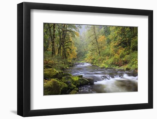 Tanner Creek, Columbia River Gorge, Oregon, USA-Jamie & Judy Wild-Framed Photographic Print