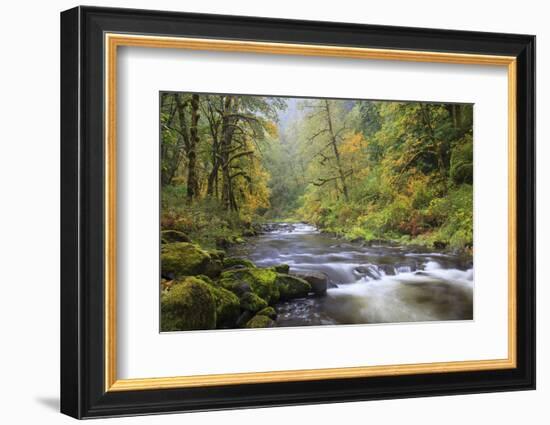 Tanner Creek, Columbia River Gorge, Oregon, USA-Jamie & Judy Wild-Framed Photographic Print