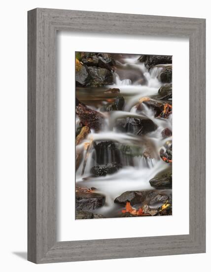 Tanner Creek, Columbia River Gorge, Oregon, USA-Jamie & Judy Wild-Framed Photographic Print