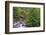 Tanner Creek, Columbia River Gorge, Oregon-Adam Jones-Framed Photographic Print