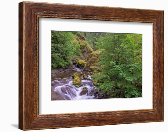 Tanner Creek, Columbia River Gorge, Oregon-Adam Jones-Framed Photographic Print