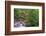 Tanner Creek, Columbia River Gorge, Oregon-Adam Jones-Framed Photographic Print