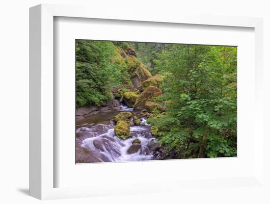 Tanner Creek, Columbia River Gorge, Oregon-Adam Jones-Framed Photographic Print