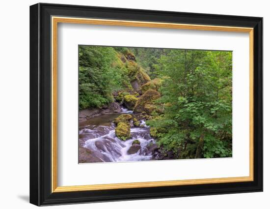 Tanner Creek, Columbia River Gorge, Oregon-Adam Jones-Framed Photographic Print