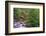 Tanner Creek, Columbia River Gorge, Oregon-Adam Jones-Framed Photographic Print