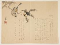Pine and a Peony Flower, 1860-Tanomura Sh?sai-Mounted Giclee Print