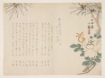 Pine and a Peony Flower, 1860-Tanomura Sh?sai-Framed Premier Image Canvas