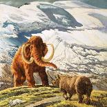 Mammoth Meets Rhinocerous-Tansley-Mounted Giclee Print