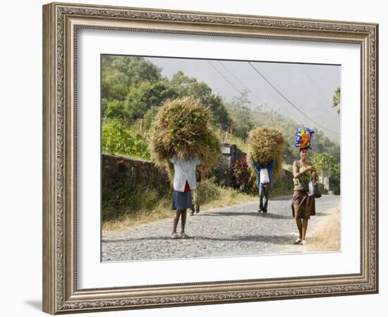 Tansporting Animal Feed, Near Sao Jorge Dos Orgaos Botanical Garden, Santiago, Cape Verde Islands-R H Productions-Framed Photographic Print