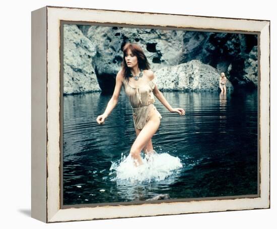 Tanya Roberts, The Beastmaster (1982)-null-Framed Stretched Canvas