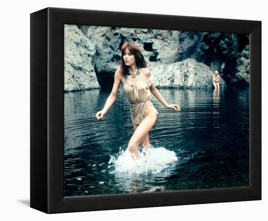 Tanya Roberts, The Beastmaster (1982)-null-Framed Stretched Canvas