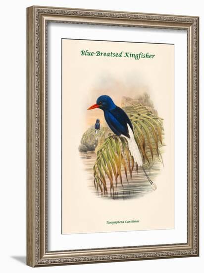 Tanysiptera Carolinae - Blue-Breatsed Kingfisher-John Gould-Framed Art Print