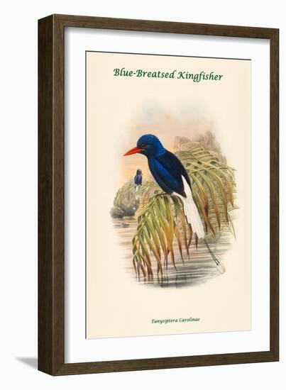 Tanysiptera Carolinae - Blue-Breatsed Kingfisher-John Gould-Framed Art Print