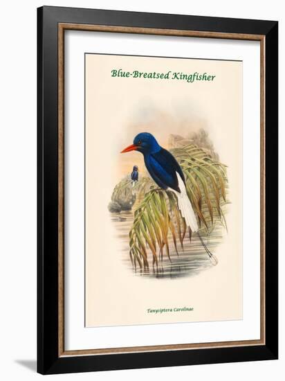 Tanysiptera Carolinae - Blue-Breatsed Kingfisher-John Gould-Framed Art Print