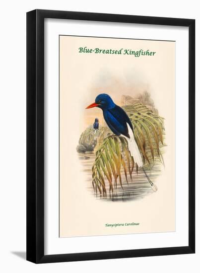 Tanysiptera Carolinae - Blue-Breatsed Kingfisher-John Gould-Framed Art Print