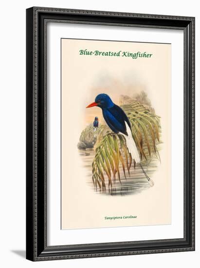 Tanysiptera Carolinae - Blue-Breatsed Kingfisher-John Gould-Framed Art Print