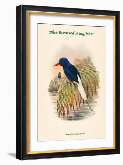 Tanysiptera Carolinae - Blue-Breatsed Kingfisher-John Gould-Framed Art Print