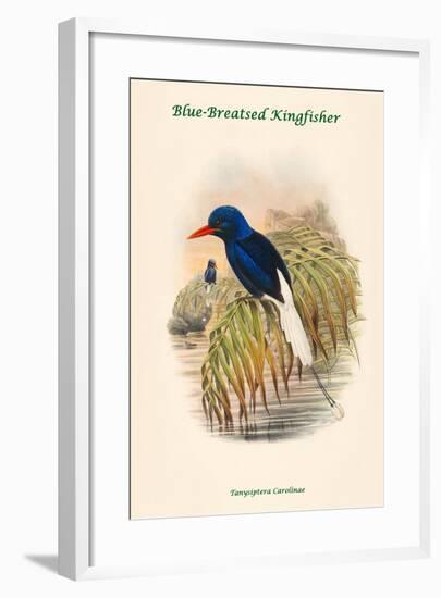 Tanysiptera Carolinae - Blue-Breatsed Kingfisher-John Gould-Framed Art Print