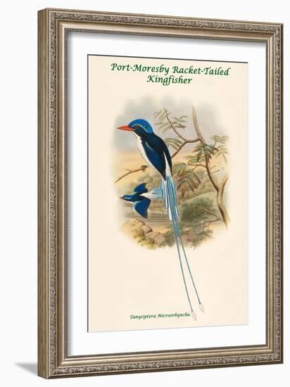 Tanysiptera Microorhyncha - Port-Moresby Racket-Tailed Kingfisher-John Gould-Framed Art Print