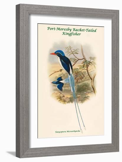 Tanysiptera Microorhyncha - Port-Moresby Racket-Tailed Kingfisher-John Gould-Framed Art Print