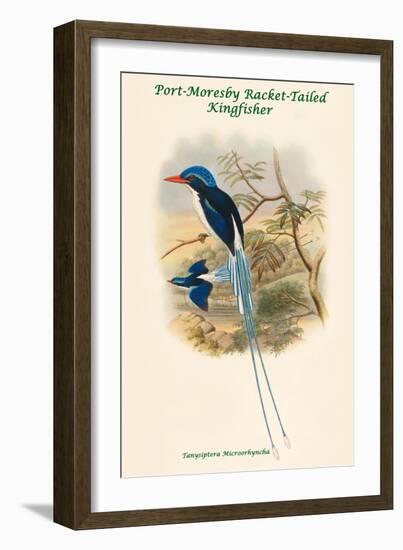 Tanysiptera Microorhyncha - Port-Moresby Racket-Tailed Kingfisher-John Gould-Framed Art Print