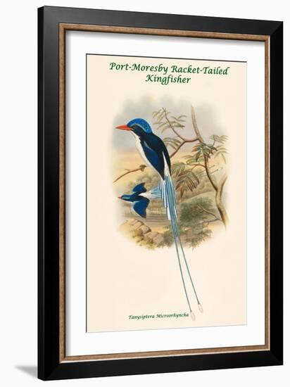 Tanysiptera Microorhyncha - Port-Moresby Racket-Tailed Kingfisher-John Gould-Framed Art Print