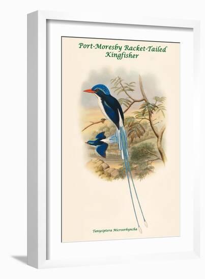 Tanysiptera Microorhyncha - Port-Moresby Racket-Tailed Kingfisher-John Gould-Framed Art Print