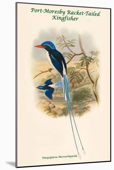 Tanysiptera Microorhyncha - Port-Moresby Racket-Tailed Kingfisher-John Gould-Mounted Art Print